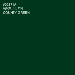 #00371A - County Green Color Image